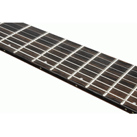 IBANEZ RGD71ALMS BAM 7 STRING EL.GUITAR