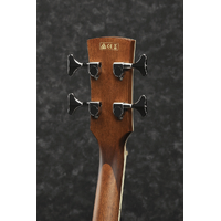 IBANEZ PNB14E OPN ACOUSTIC BASS GUITAR