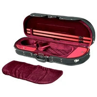 Gliga Violin  7/8  Gliga 1 Outfit Antique Finish Inc Bow & Case Made in Europe