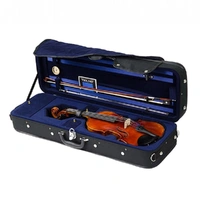 Raggetti RV7AE  4/4 Violin Outfit Professionally Set Up - Pirastro Strings 