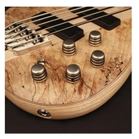 Cort  A5 Plus SCMS OPN 5 string Bass  Open Pore BARTOLINI Pickup's with Case