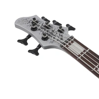Ibanez BTB25TH5SLM 5-String 25th Anniversary Electric Bass (Silver Blizzard Matte)
