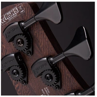 Cort Artistian series B5 Plus AS OPN 5-String Electric Bass - Swamp Ash