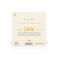 D'Addario EJ98 Cuatro-Venezuela Strings