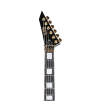 ESP LTD Mike Schleibaum MSV-1 Electric Guitar - Black