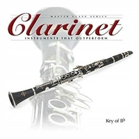 Suzuki MCC-1 Masterclass Clarinet Entry / Intermediate Level, Bb 