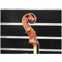 Violin 4/4 - Sandner  Special Artist Series  - Outfit Set up