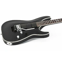 Schecter Damien Platinum 6 FR Electric Guitar - Satin Black Floyd Rose