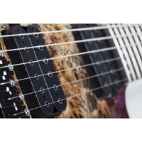 Schecter C-6 Pro  Electric Guitar in Aurora Burst Floyd Rose 