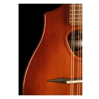 Seagull S8 Acoustic Mandolin Burnt Umber Solid Spruce Top Custom Polished Finish