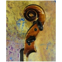 A fine European made 4/4 violin Academy V-250 Model Thomastik Strings Pro Setup