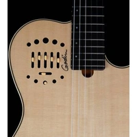 Godin Multiac Nylon Deluxe 6-String RH Classical Acoustic Electric Guitar with Gig Bag