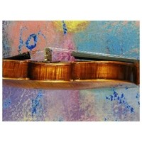  Violin Concert Series 4/4 Labeled Francesco Cervini CV-6 Set up  Zyex Strings