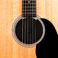 D'Addario Screeching Halt Humidifier PW-ASHH-01