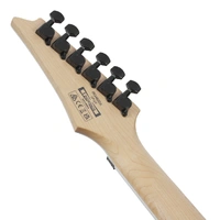 Ibanez RG460DX Meranti Body Electric Guitar - Blue Haze
