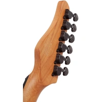 Schecter PT Standard 6 String Electric Guitar - Black Fade Burst Burl