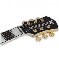 Wylde Audio Odin Grail Solid Body Electric Guitar Ebony/Genesis - 4513