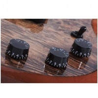 Wylde Audio Barbarian Battlescar Burl Electric Guitar 