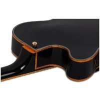 Schecter Coupe Electric Guitar - Gloss Black/Ebony - Tesla FilterTron Pickups