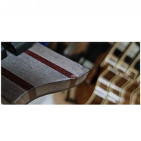 Schecter Guitar Research  V-1 Apocalypse Electric Guitar - Red Reign