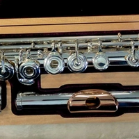 Trevor James TJ-6TCR3S Recital HROEC Flute 9K Gold Lip Plate 