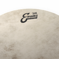 Evans Calftone Tom Batter Drum Head , 13 Inch - Drum Not Included