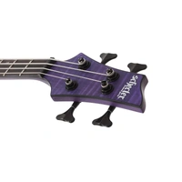 Schecter C-4 GT Electric  Bass Guitar - Satin Trans Purple