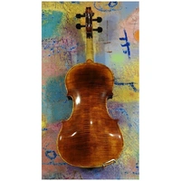A fine European made 4/4 violin Academy V-250 Model Thomastik Strings Pro Setup