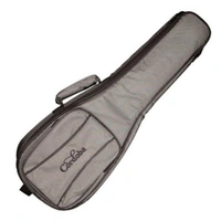 Cordoba Tenor Ukulele Acoustic / Electric Cutaway Indian Rosewood Back Bag included