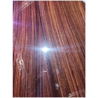 BREEDLOVE  Premier Concert  Edgeburst Acoustic / Electric Guitar Ex Demo