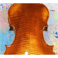  Violin Concert Series 4/4 Labeled Francesco Cervini CV-6 Set up  Zyex Strings