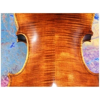 A fine European made 4/4 violin Academy V-250 Model Thomastik Strings Pro Setup