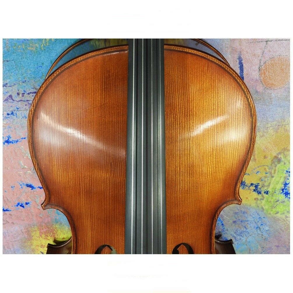 Fine Hand Carved European Professional Symphony 4/4 Cello Setup Jargar
