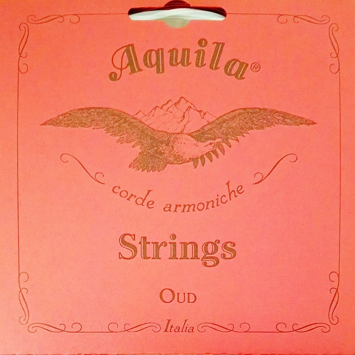 Aquila Oud Strings 13O Super Nylgut Arabic 11 String Set cgdAFC eBay