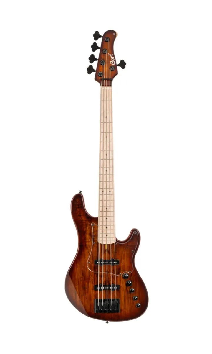 4 String Bass Guitar | 4 String Guitars for Sale | Angkor Music