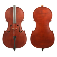 Gliga 1 - 4/4 Cello Outfit Antique Varnish professionally set up