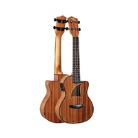 Eddy Finn Concert Ukulele – Acoustic / Electric 9Ce