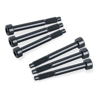 Schaller LockMeister® 6 – 1 set of 6 string locking screws M4 x 40 (FR)