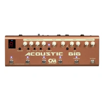 Carl Martin Acoustic GiG Multi-Effects Guitar Pedal