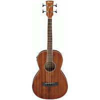 IBANEZ PNB14E OPN ACOUSTIC BASS GUITAR