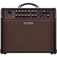 Boss Acoustic Singer Pro Acoustic Amplifier