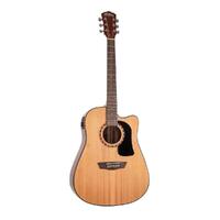 Washburn AD5CENPACK Acoustic Guitar Pack Apprentice, Natural Dreadnought w/ Cutaway & EQ