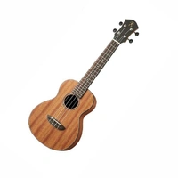 aNueNue MKN2E Makani II Acoustic / Electric Concert Ukulele 