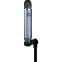 Blue Mic Ember XLR Studio Condenser Mic for Recording & Live-Streaming