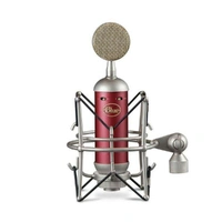 Blue Spark SL - Large Diaphragm Studio Condenser Microphone
