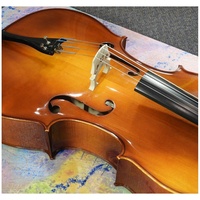 Fine Hand Carved European 4/4 Cello Advance Elite by Hora Setup - Jargar Strings