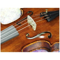  Violin Concert Series 4/4 Labeled Francesco Cervini CV-6 Set up  Zyex Strings