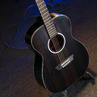 Washburn DFEFE-A-U Deep Forest Ebony FE Folk Acoustic Electric Guitar