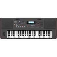 Roland E-X50 Arranger Keyboard w/ Bluetooth & Speaker System 