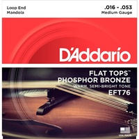 D'Addario EFT76 Flat Tops Mandola Strings, Medium, 16 - 53 loop Ends Phos Bronze